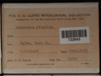 Image Associated With the Occurence
